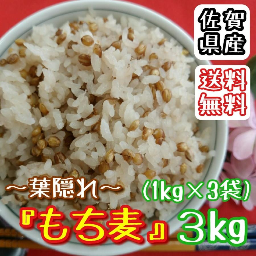紫もち麦 900g ダイシモチ 国産 100％ 雑穀米（300g×3袋）佐賀県産