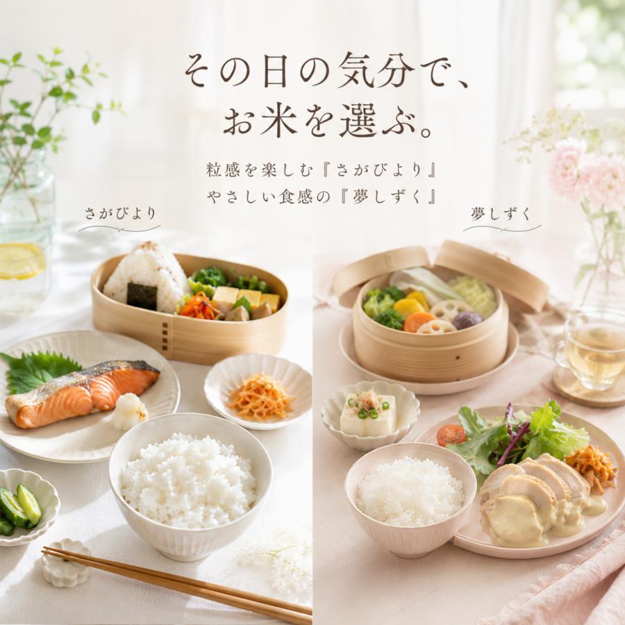 さがびより 無洗米 食べ比べ 8kg 夢しずく 各4kg 佐賀県産 真空パック