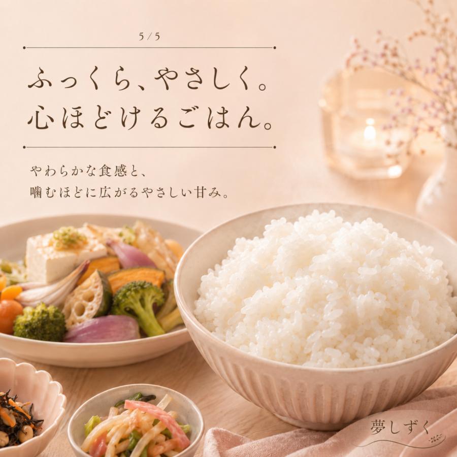 さがびより 無洗米 食べ比べ 8kg 夢しずく 各4kg 佐賀県産 真空パック