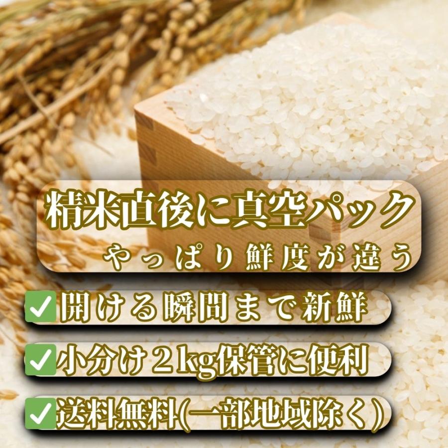 真空パック米　5kg×4袋 梱包のオプションです※ お米 真空パック 一袋 5kg 5キロ 梱包