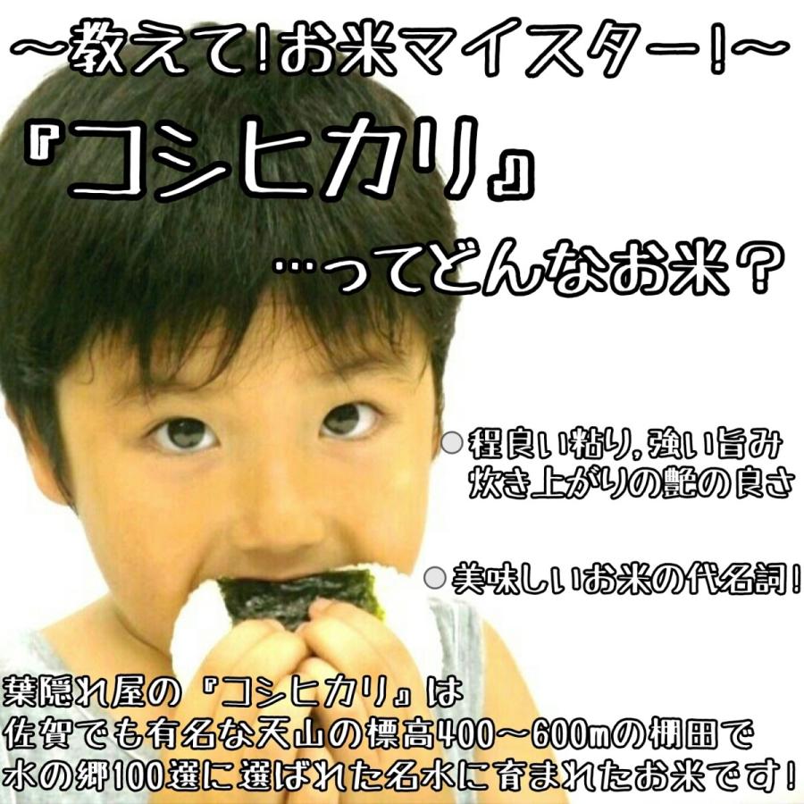 特A　無洗米　さがびより　棚田米　コシヒカリ　各２kg　×２袋　食べ比べ　真空パック　米　白米　精米　産地直送　佐賀県産　８kg　お米　｜hagakureya｜03