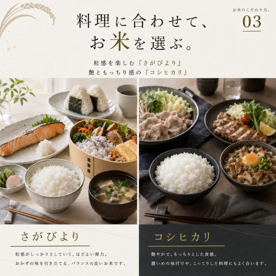 コシヒカリ 無洗米 2種 8kg (コシヒカリ さがびより)【真空パック】各