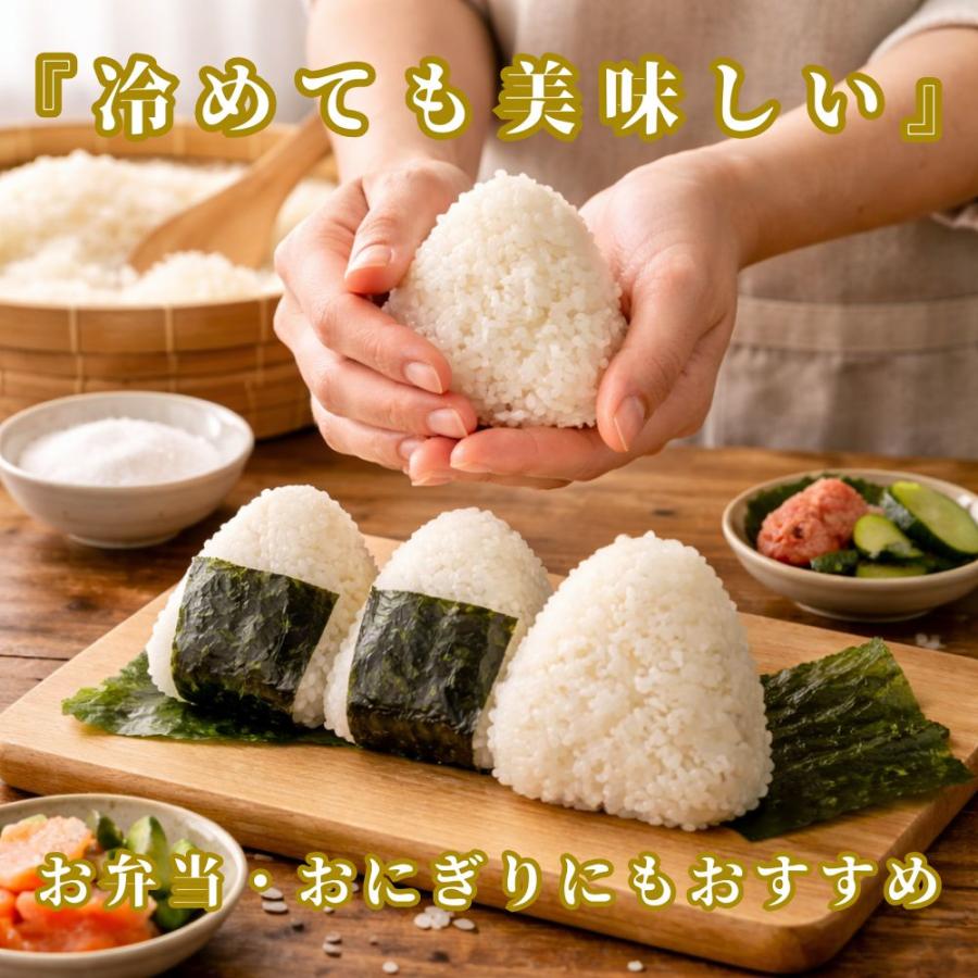 さがびより 無洗米 【真空パック】2kg×4袋 令和7年産 佐賀県産 特A
