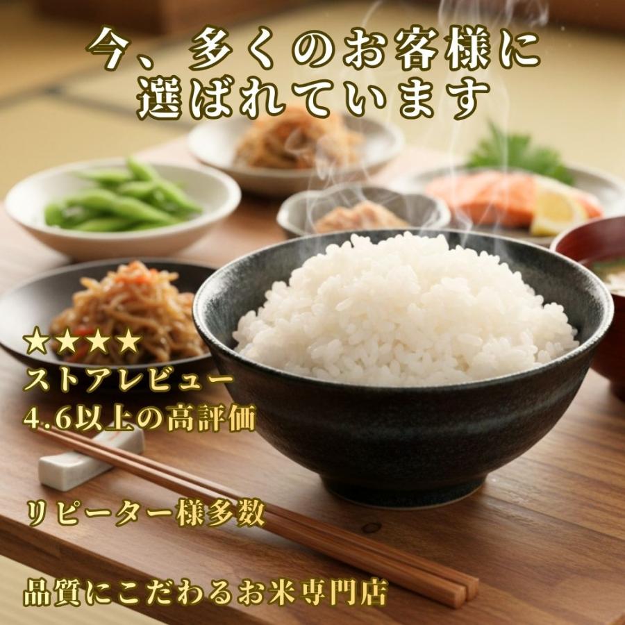 さがびより 無洗米 【真空パック】2kg×4袋 令和7年産 佐賀県産 特A