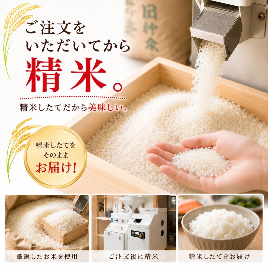 ヒノヒカリ 米 10kg 白米 5kg×2袋 爆買 セール ひのひかり 佐賀県産
