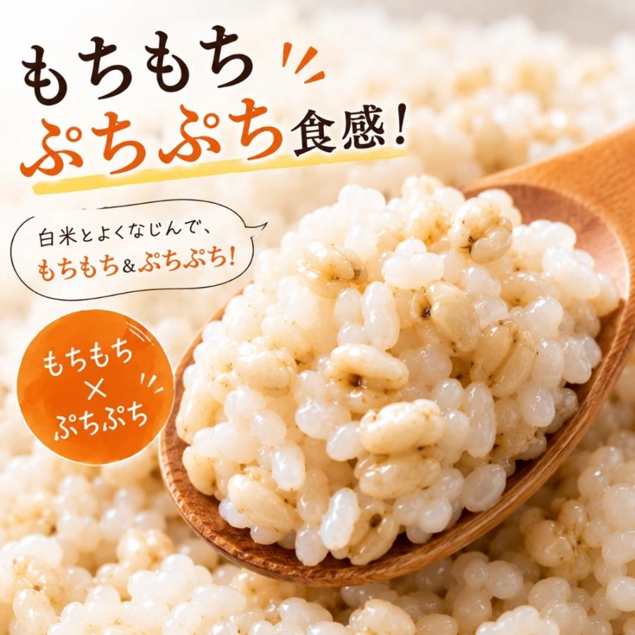 もち麦 雑穀 キラリモチ 佐賀県産 4kg 【送料無料】 国産 雑穀米 (1kg