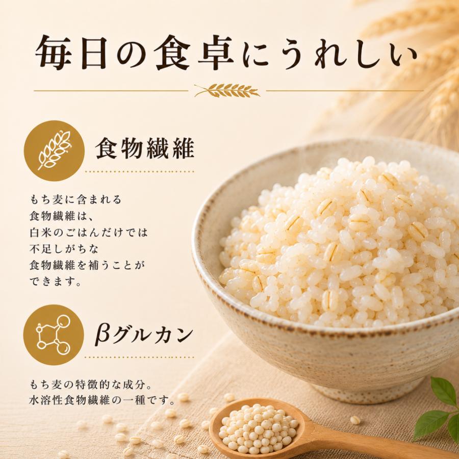 もち麦 4kg 国産100% キラリモチ 雑穀米 1kg×4袋 ジップ付き 佐賀県産