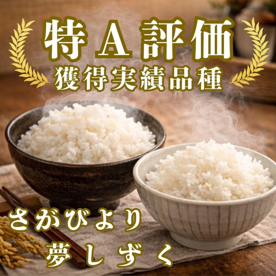 さがびより 無洗米 10kg【特A評価米】 食べ比べ 夢しずく セット (5kg