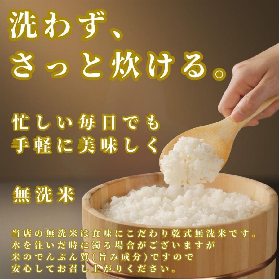 さがびより 無洗米【特A評価米】 食べ比べ 夢しずく 白米 セット 10kg