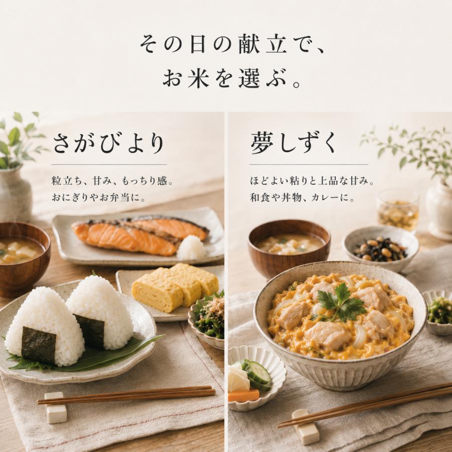 さがびより 無洗米 10kg 夢しずく 食べ比べセット 5kg×2袋 佐賀県産 令