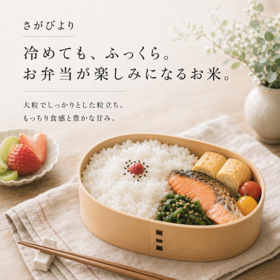 さがびより 無洗米 10kg 夢しずく 食べ比べセット 5kg×2袋 佐賀県産 令