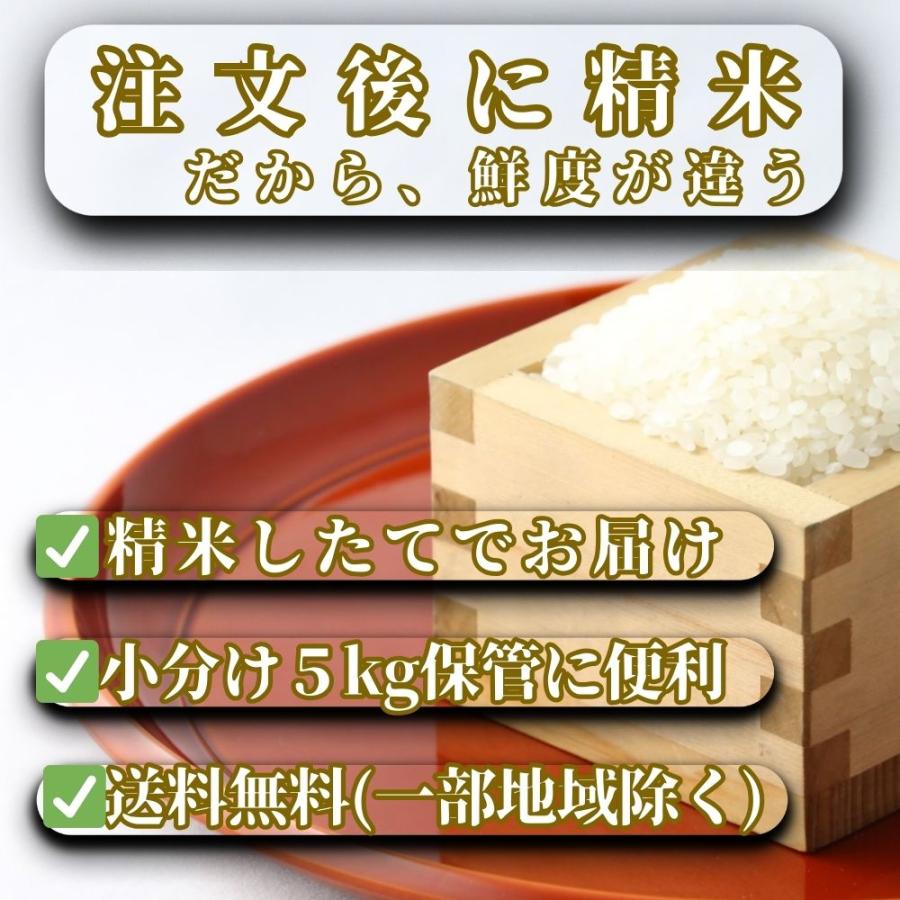 さがびより 無洗米 10kg【特A評価米】 食べ比べ 夢しずく セット (5kg