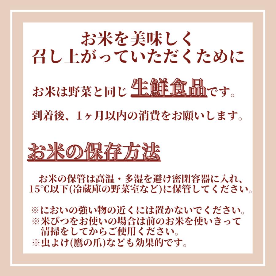 【無洗米】『さがびより５kg』『夢しずく５kg』計１０kg　食べ比べ　お米　５kg×２袋　特A　五つ星お米マイスター厳選　産地直送　精米　送料無料　｜hagakureya｜06