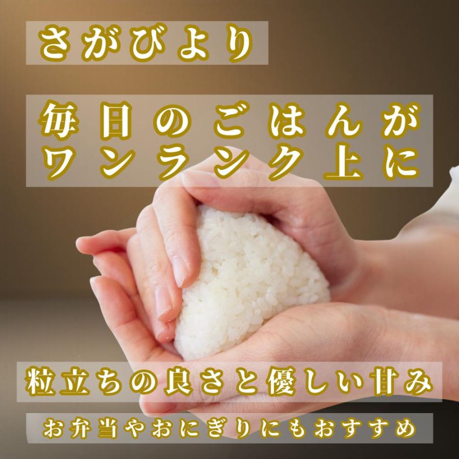 さがびより 無洗米 10kg【特A評価米】 食べ比べ 夢しずく セット (5kg