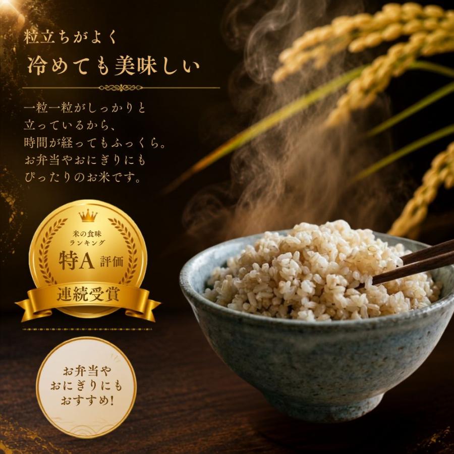 さがびより 特選 玄米 20kg (5kg×4袋) 佐賀県産 令和7年産 特A評価 大