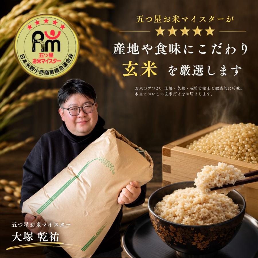 さがびより 特選 玄米 20kg (5kg×4袋) 佐賀県産 令和7年産 特A評価 大