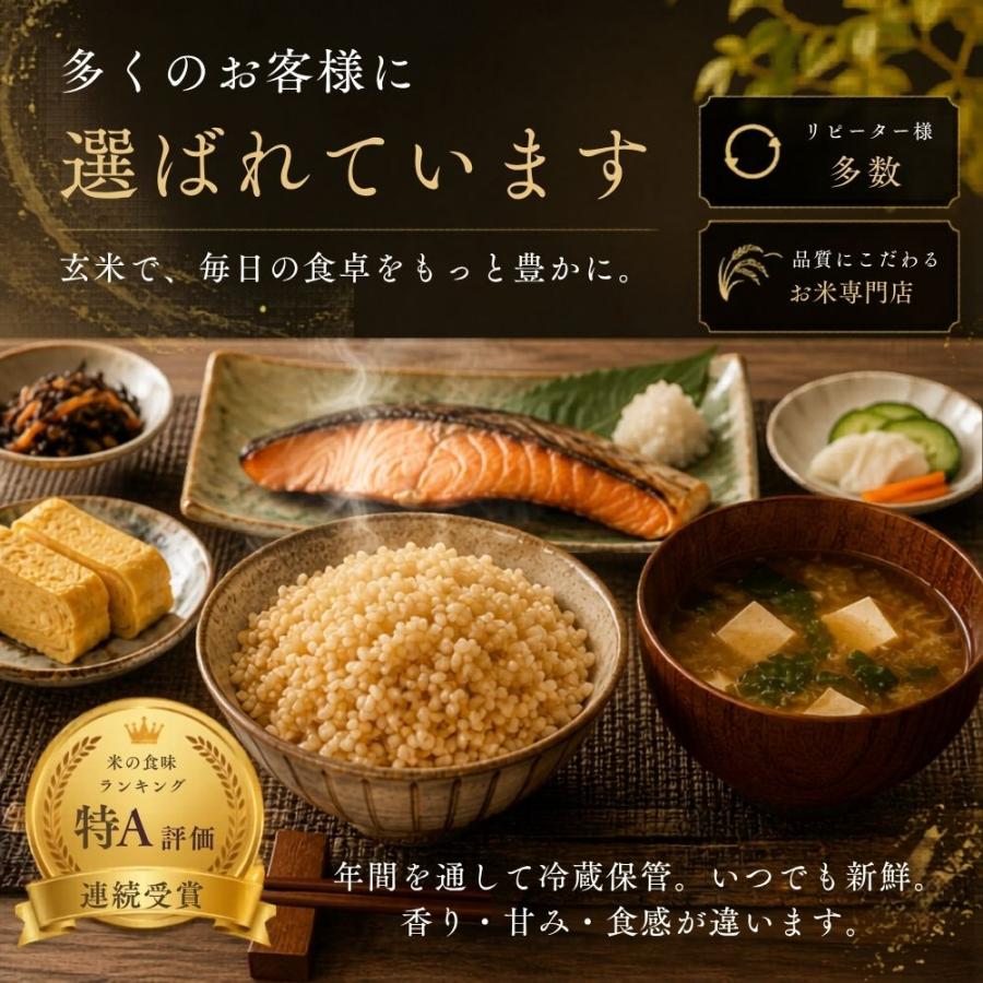 さがびより 特選 玄米 20kg (5kg×4袋) 佐賀県産 令和7年産 特A評価 大