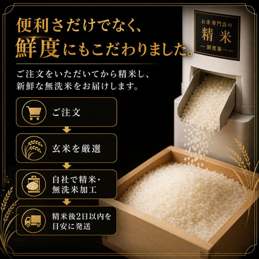 さがびより 米 5kg 無洗米 送料無料 特A 精米したて発送 佐賀県産洗わ