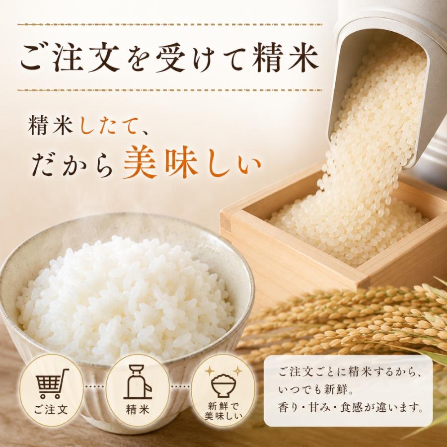 さがびより 米 10kg 無洗米 5kg×2袋 特A (日曜クーポンあり) 精米した