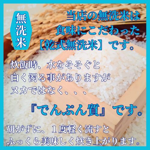 令和6年産【無洗米】さがびより 10kg(5kg×2袋) 五つ星お 令和6年産【無洗米】さがびより 10kg(5kg×2袋) 五つ星お
