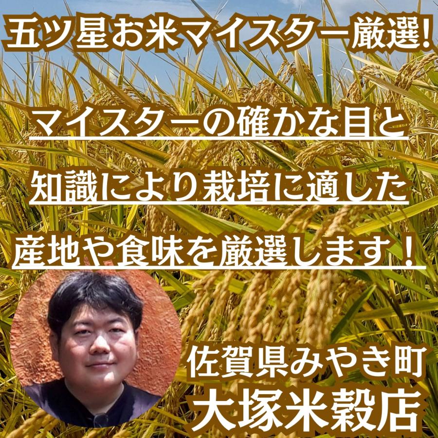 令和6年産【無洗米】さがびより 10kg(5kg×2袋) 五つ星お 令和6年産【無洗米】さがびより 10kg(5kg×2袋) 五つ星お