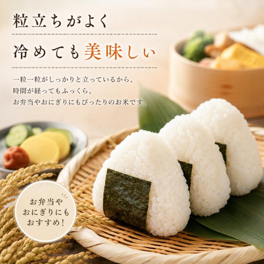 さがびより 米 10kg 無洗米 5kg×2袋 特A (日曜クーポンあり) 精米した