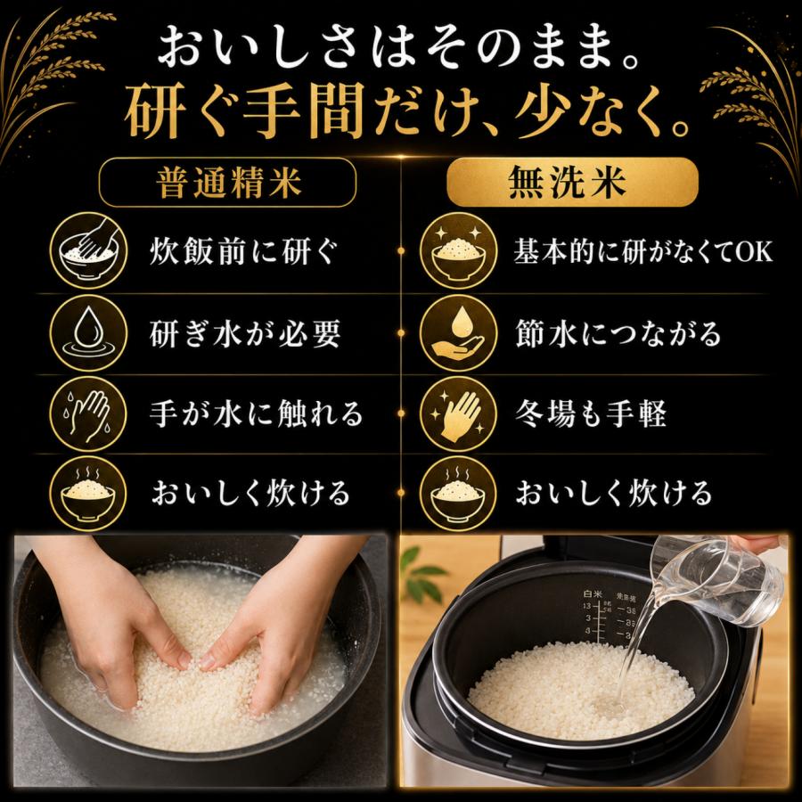 さがびより 米 10kg 無洗米 5kg×2袋 佐賀県産 令和7年産 特A評価 ご
