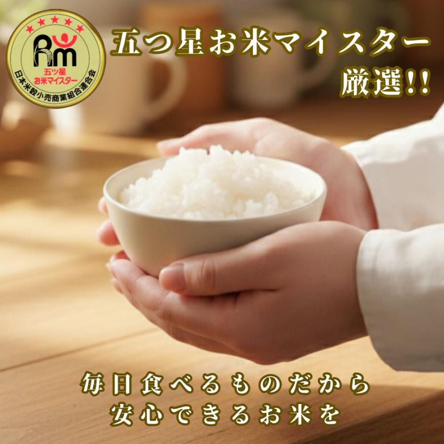 さがびより GW セール 米 10kg 無洗米 (5kg×2袋) 特A 精米したて