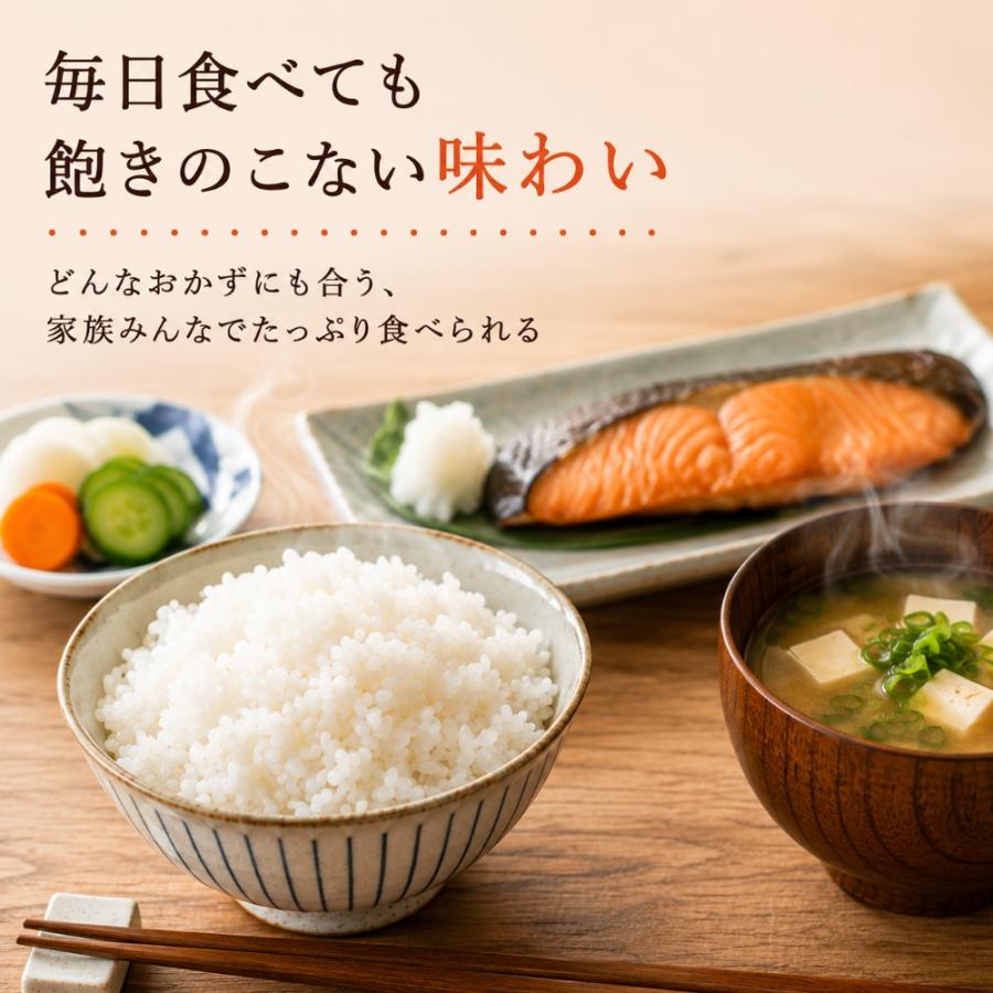 米 5kg 九州産 ブレンド米 送料無料 白米 家計応援米 お米 安い 五つ星
