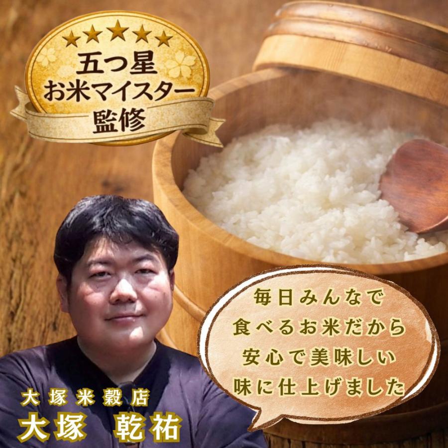 生活応援米 白米 5kg ブレンド米 国産 安い 送料無料 一稲匠(いっとう