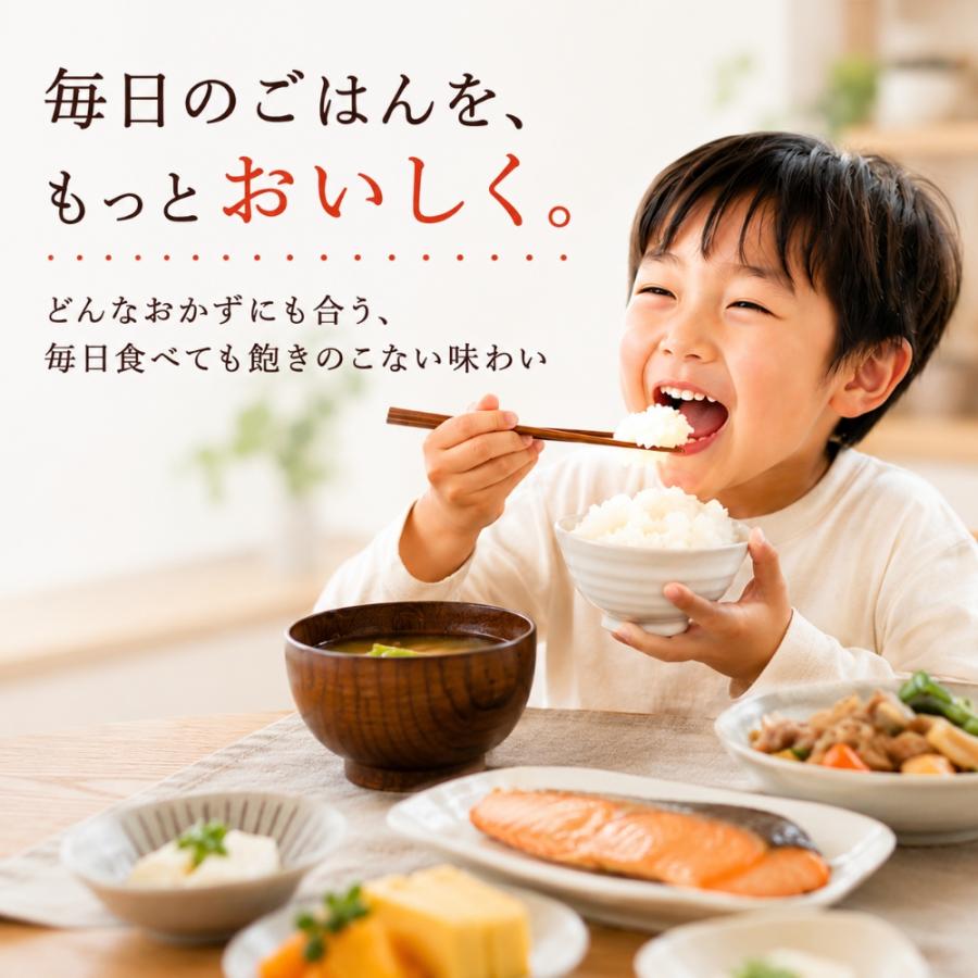 米 5kg 九州産 ブレンド米 送料無料 白米 家計応援米 お米 安い 五つ星