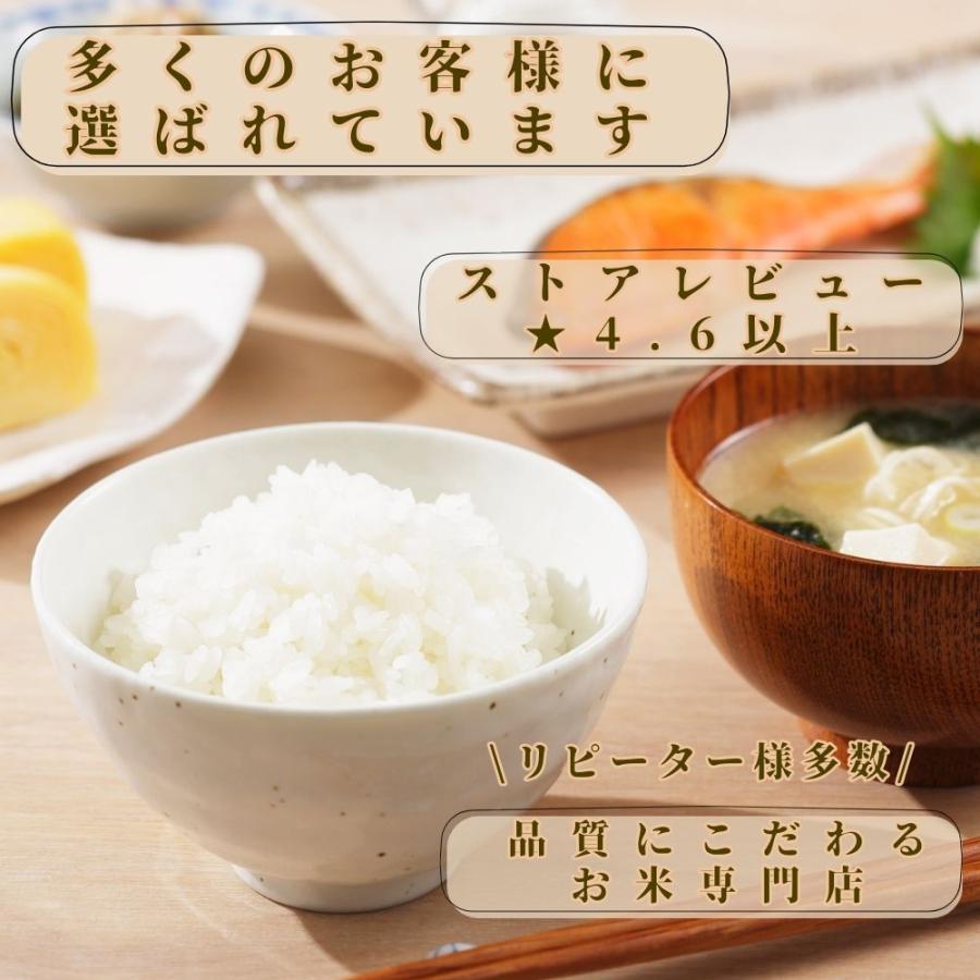 ブレンド米 白米 5kg 九州産 生活応援米 安い 米 お米 5キロ 送料無料