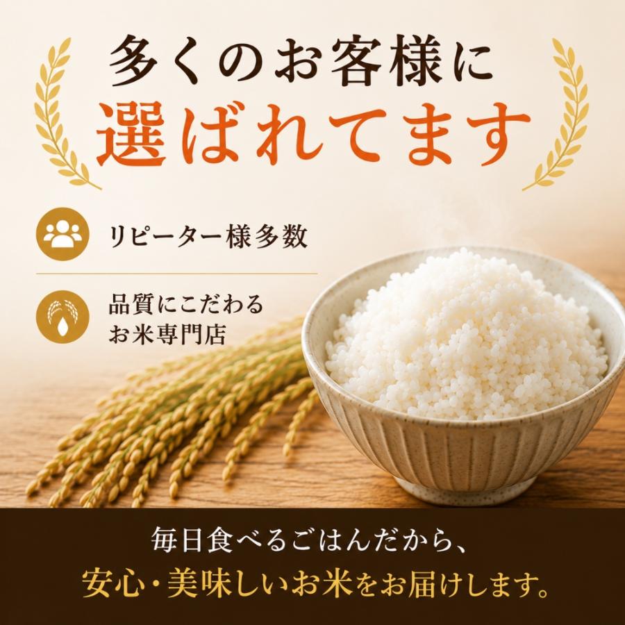 米 5kg 九州産 ブレンド米 送料無料 白米 家計応援米 お米 安い 五つ星