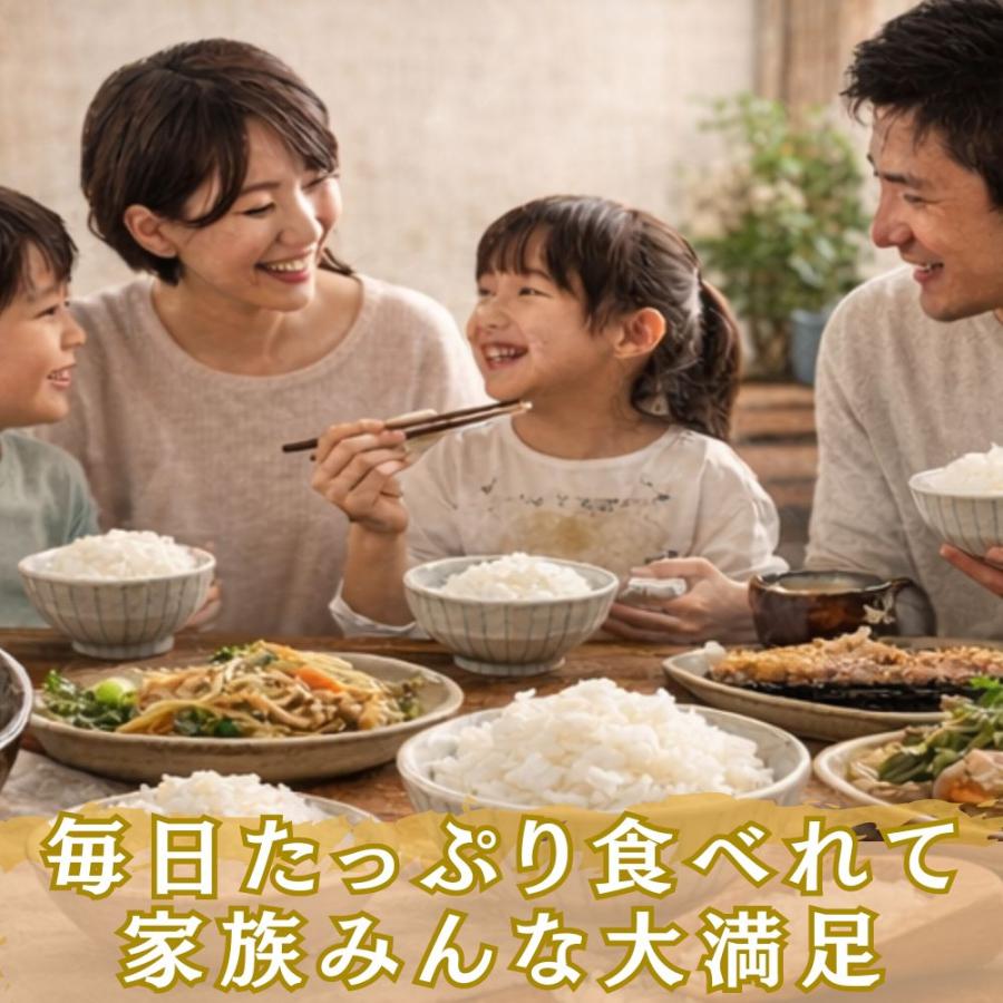 ブレンド米 白米 10kg (5kg×2袋) 九州産 生活応援米 安い 米 お米 10