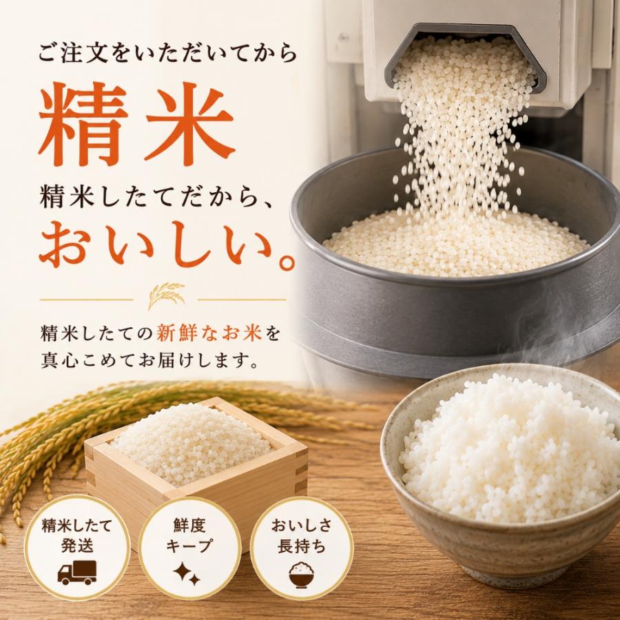 米 10kg 九州産 ブレンド米 (5kg×2袋) 送料無料 白米 家計応援米 お米
