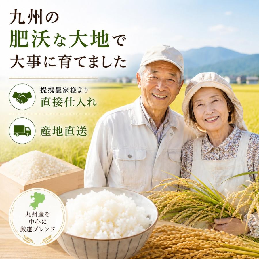 米 10kg 九州産 ブレンド米 (5kg×2袋) 送料無料 白米 家計応援米 お米