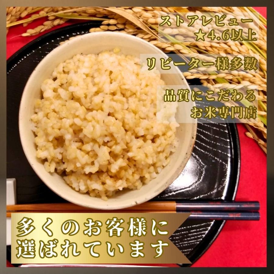 さがびより 10kg 【玄米】 佐賀県産 令和7年産 : 米匠-葉隠れ屋-大塚