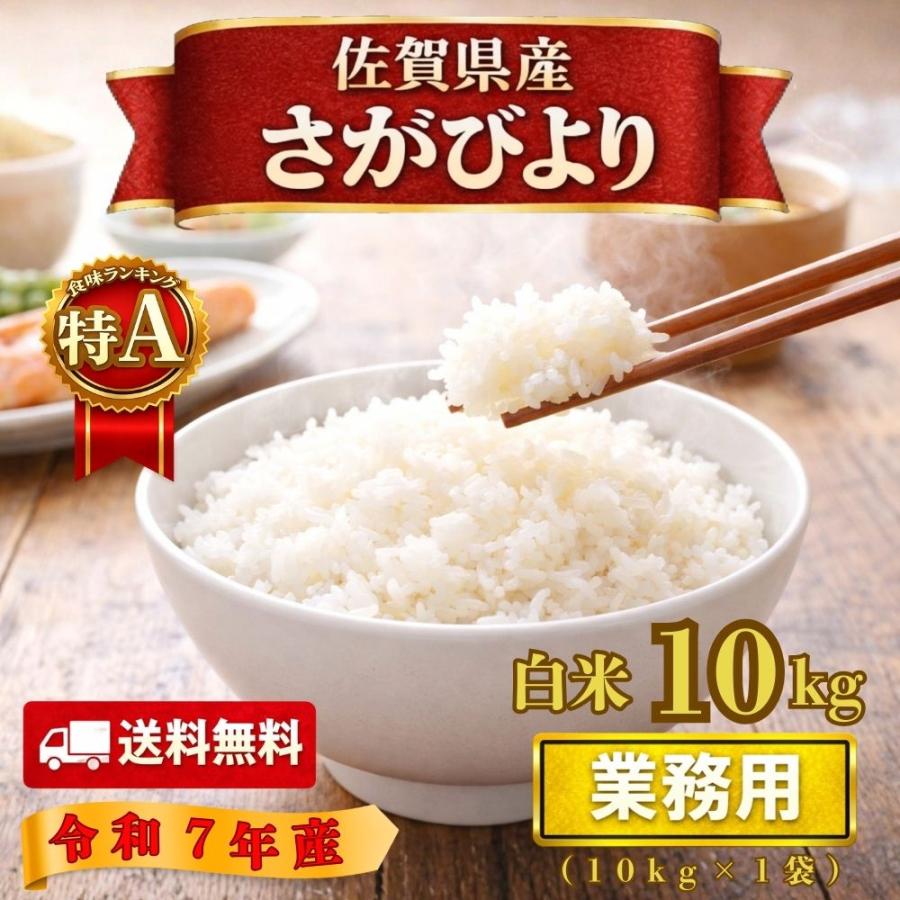 [最短翌日お届け ] 100 (100)