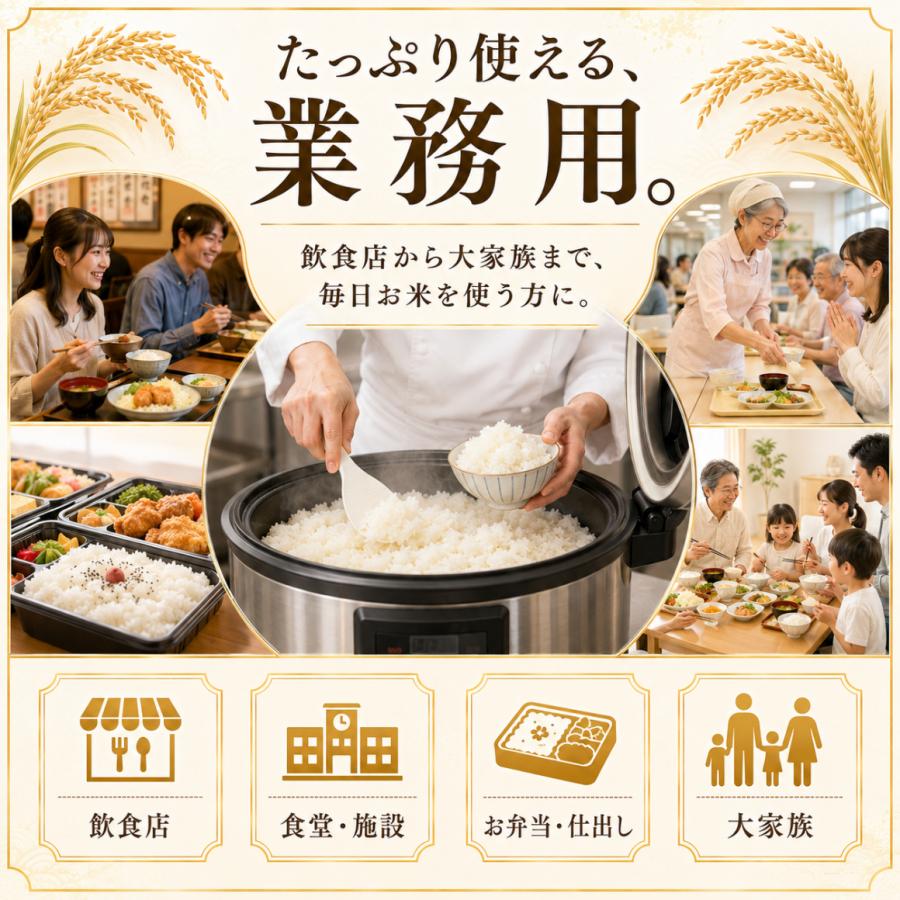 さがびより 無洗米 20kg 10kg×2袋 佐賀県産 業務用 大容量 送料無料 五