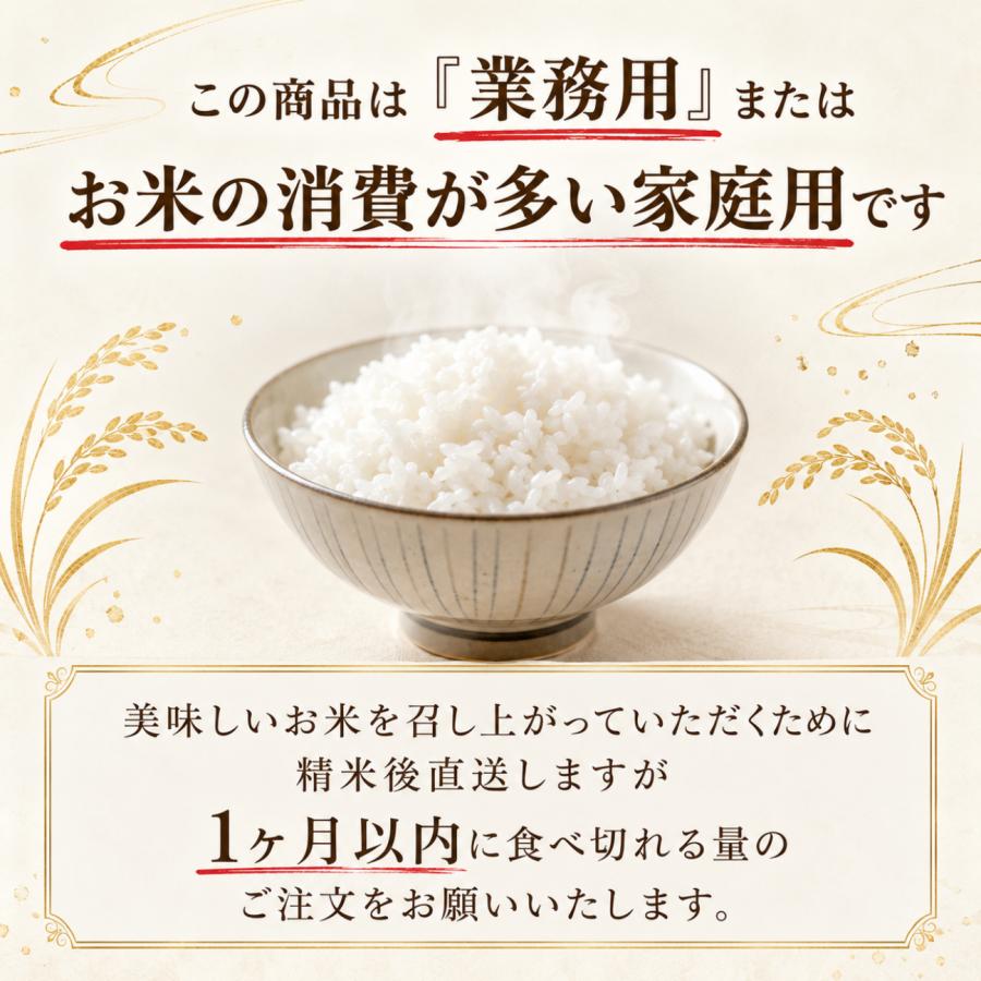 さがびより 無洗米 20kg 10kg×2袋 佐賀県産 業務用 大容量 送料無料 五