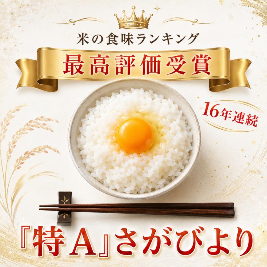 白お米 10kgx2袋=20kg さがびより 無洗米 20kg 10kg×2袋 佐賀県産 業務用 大容量 送料無料 五