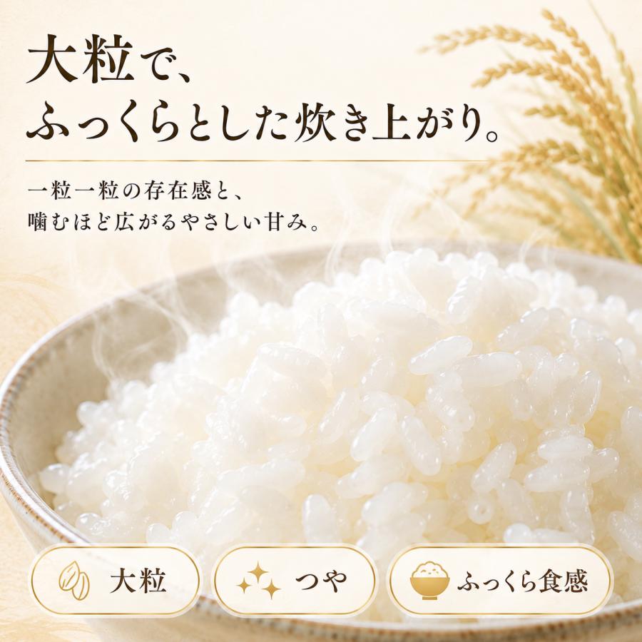 さがびより 業務用 無洗米 20kg 10kg×2袋 佐賀県産 大容量 送料無料 五