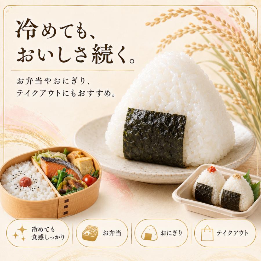 さがびより 無洗米 20kg 10kg×2袋 佐賀県産 業務用 大容量 送料無料 五