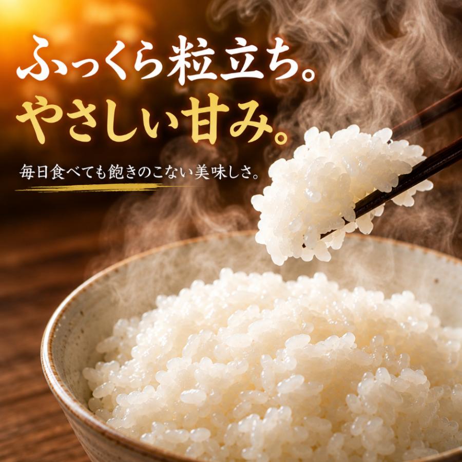 お米　佐賀の米　10kg　佐賀県　コメ　追加購入ok　精米　主食 米 10kg 佐賀県限定品種 ひなたまる 白米 5kg×2袋 ご注文後精米 五つ星