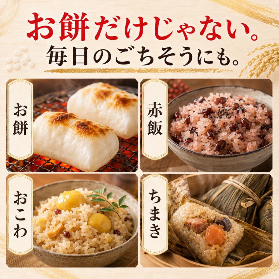 ヒヨクモチ もち米 3kg 送料無料 佐賀県産 令和7年産 白米 餅米 国産