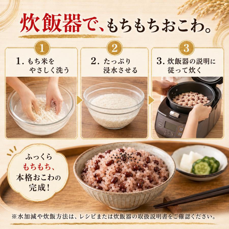 ヒヨクモチ もち米 3kg 送料無料 佐賀県産 令和7年産 白米 餅米 国産