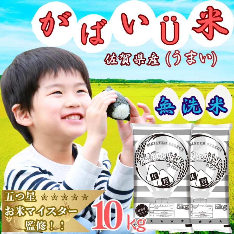 米10kg 送料無料 無洗米 (5kg×2袋) ブレンド米 国産 生活応援 家庭用