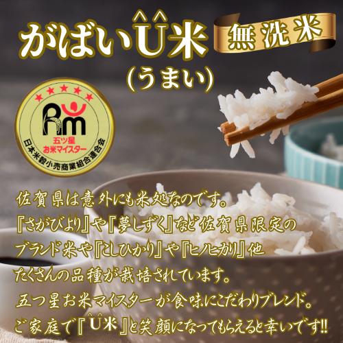 米10kg 送料無料 無洗米 (5kg×2袋) ブレンド米 国産 生活応援 家庭用