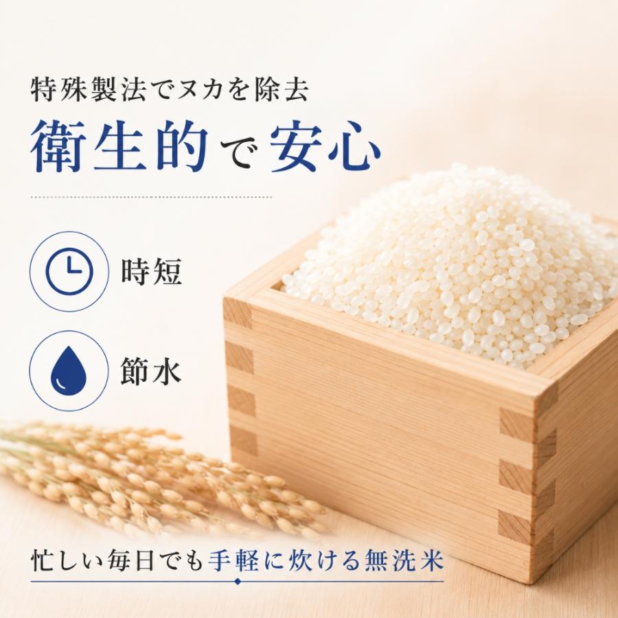 新米 ブレンド米 無洗米 20kg（10kg×2袋） 【公式通販】