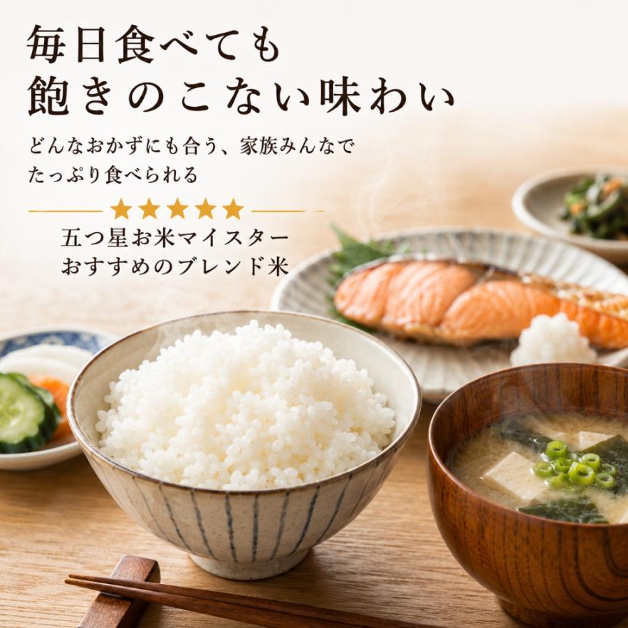 無洗米 10kg ブレンド米 5kg×2袋 国産 佐賀県産 生活応援米 令和7年産